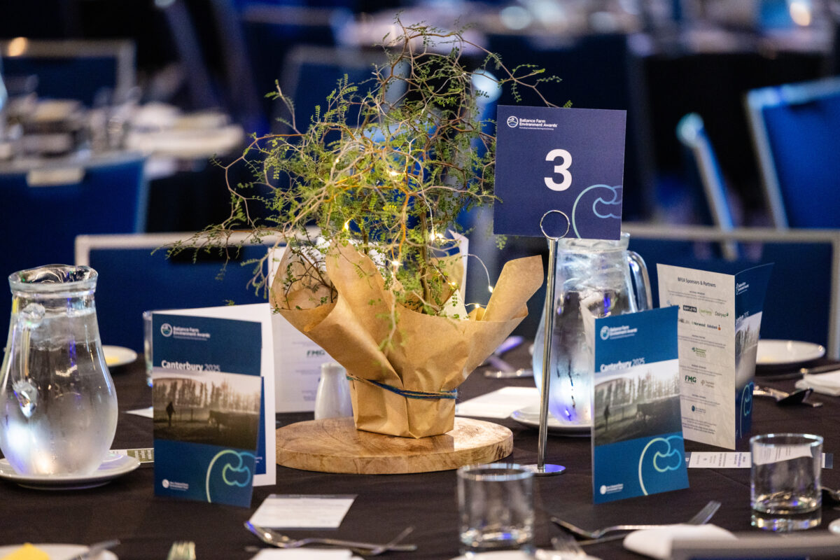 250306 Bfea Canterbury General 003 (1)