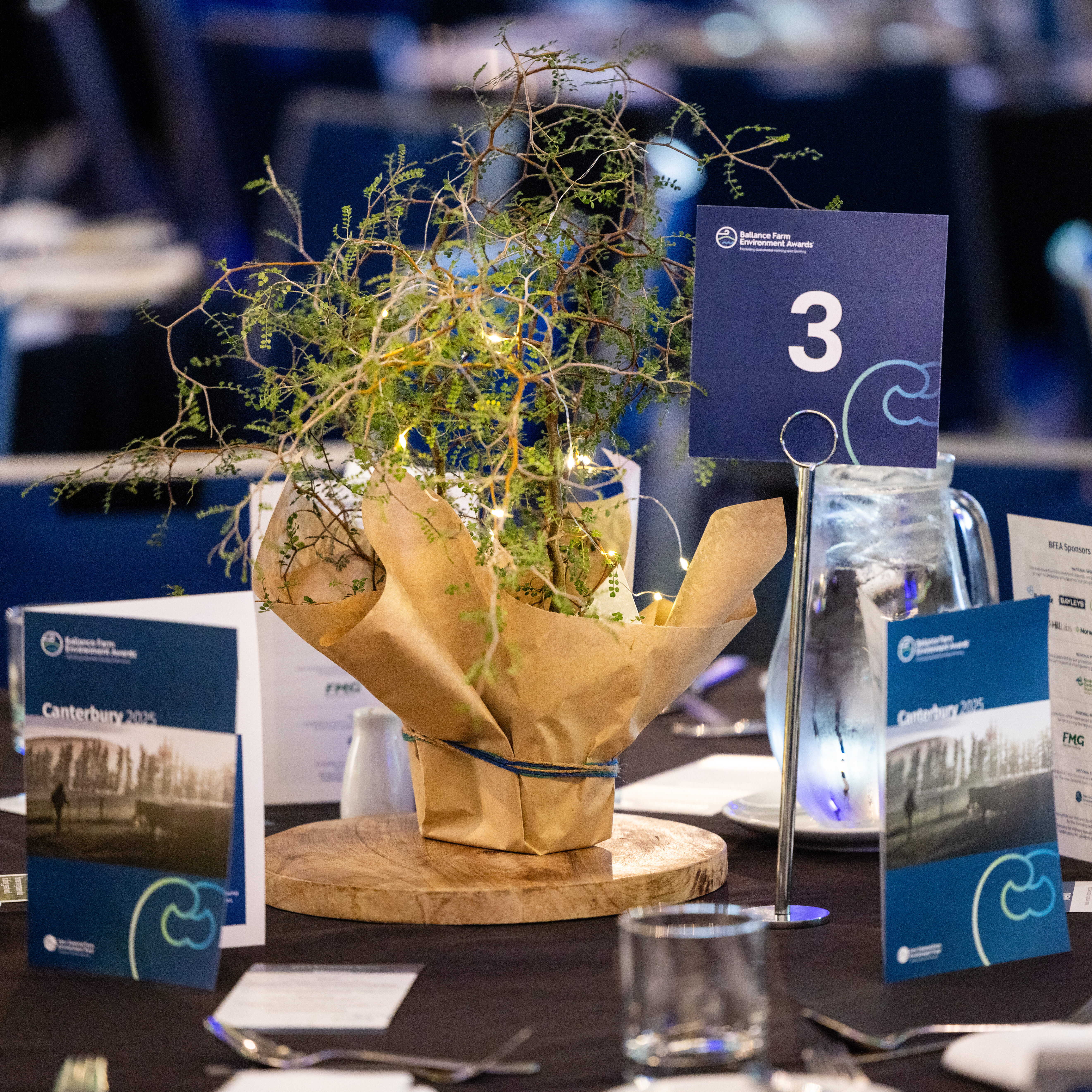 250306 Bfea Canterbury General 003 (1)